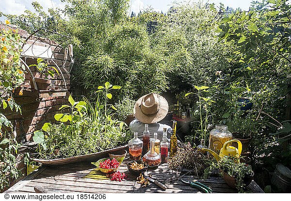 Man wearing hat sitting with fresh oil and homemade vinegar in garden