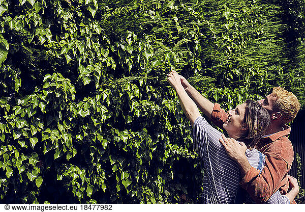 Man with arm around girlfriend touching leaves of hedge