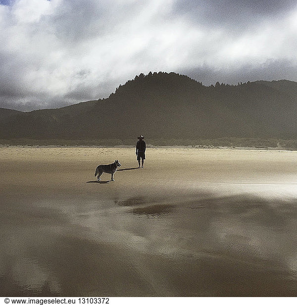 Man with dog alone on beach