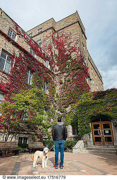 Man with dog looking at red ivy covered building on college campus.