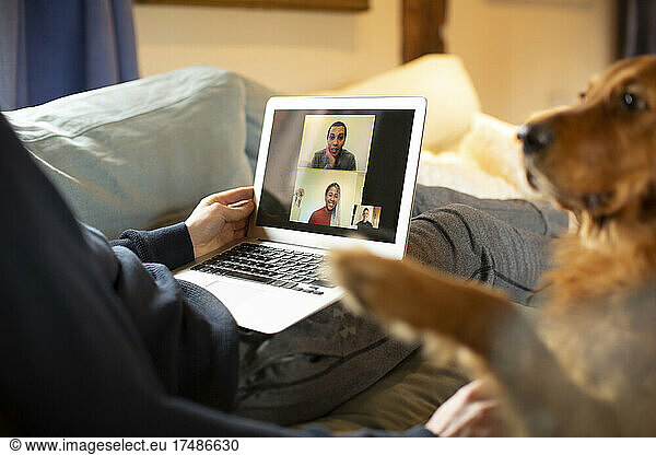 Man with dog video conferencing with colleagues on laptop from home