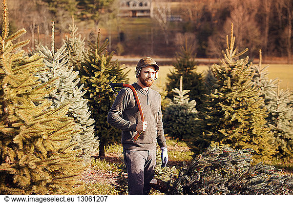 Man with hand saw looking away while standing in tree farm