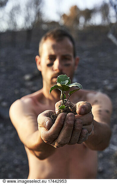Man with hands cupped holding plant in forest