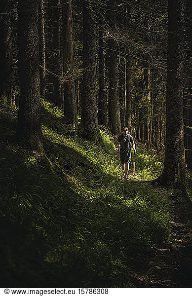Man with hiking poles on a hiking trip in forest  Karwendel  Tyrol  Austria
