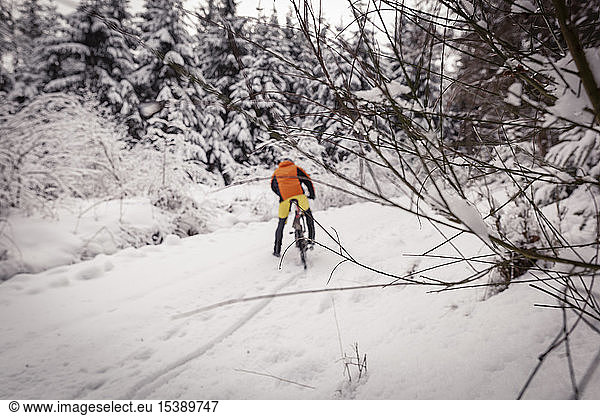 Man with mountainbike on path in winter forest