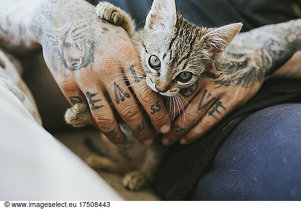 Man with tattooed hands holding kitten at home