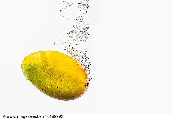 Mango falls into the water  studio shot  cutout  Austria  Europe