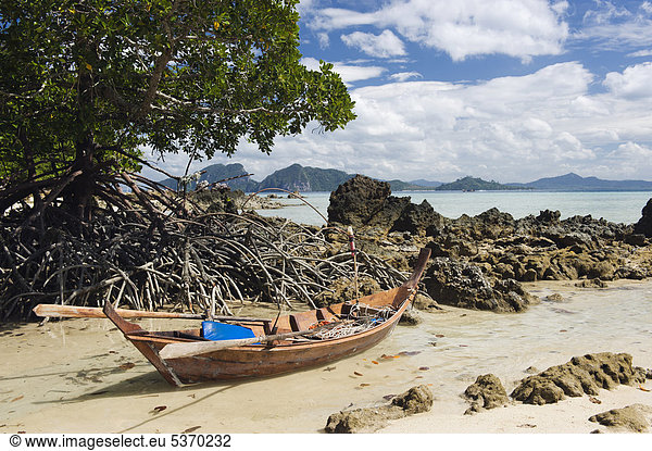 Mangroven am Strand  Insel Ko Kradan  Trang  Thailand  Südostasien  Asien