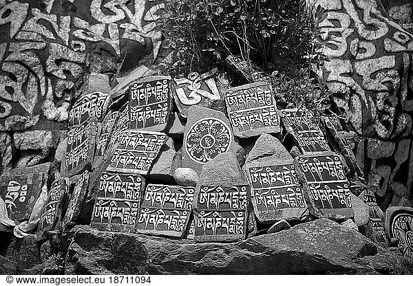 Mani stones etched with Buddhist prayers line the trails in Nepal's Khumbu region.