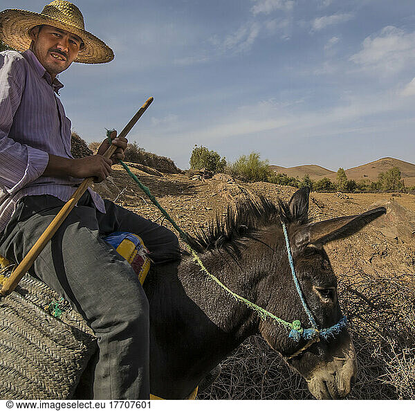 Mann auf Esel in Ourika in der Wüste außerhalb von Marrakesch  Marokko; Marrakesch  Marrakesch  Marokko