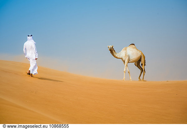 Mann aus dem Nahen Osten in traditioneller Kleidung geht in der Wüste auf ein Kamel zu  Dubai  Vereinigte Arabische Emirate