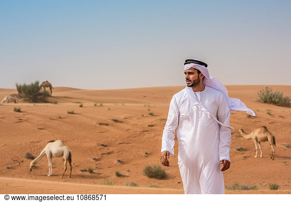 Mann aus dem Nahen Osten trägt traditionelle Kleidung und geht in der Wüste von Kamelen weg  Dubai  Vereinigte Arabische Emirate