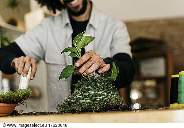Mann bindet Faden über Kokedama-Pflanze auf Tisch zu Hause