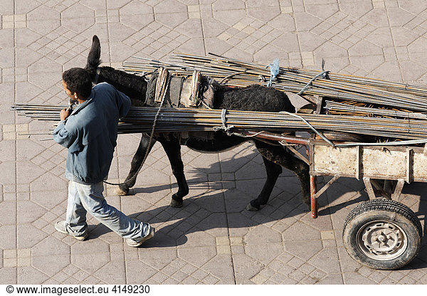 Mann führt einen Maultierkarren beladen mit Eisenstangen  Djemaa el Fna  Marrakesch  Marokko  Afrika