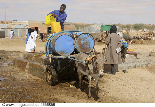 Mann füllt Wasser in Container auf einem Eselskarren  Nouakchott  Mauretanien  nordwestliches Afrika  Afrika