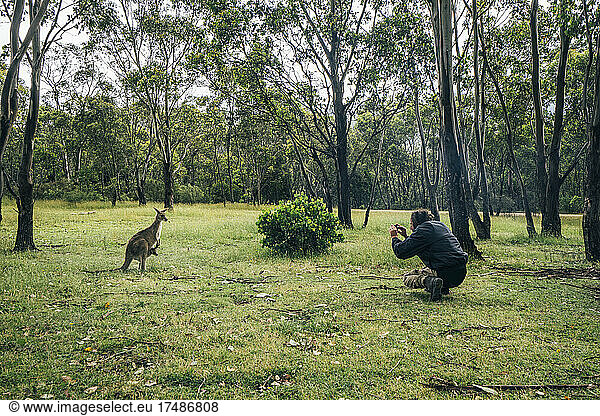 Mann fotografiert Känguru  Australien
