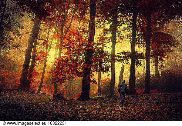 Mann geht durch Herbstwald