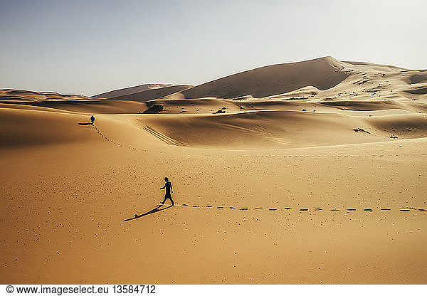 Mann geht in sonniger Sandwüste  Sahara  Marokko