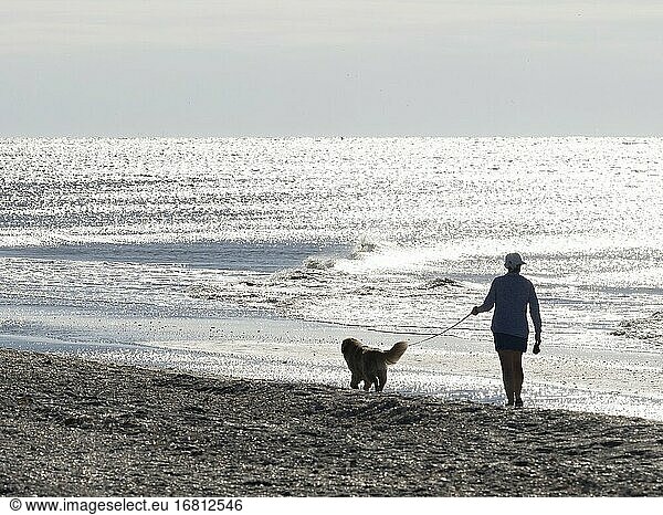 Mann geht mit seinem Hund am Strand des Golfs von Mexiko auf der Insel Sanibel in Florida in den Vereinigten Staaten spazieren.