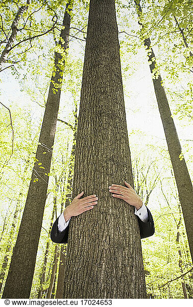 Mann im Anzug umarmt Baum