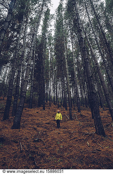 Mann im Wald stehend  Spanien