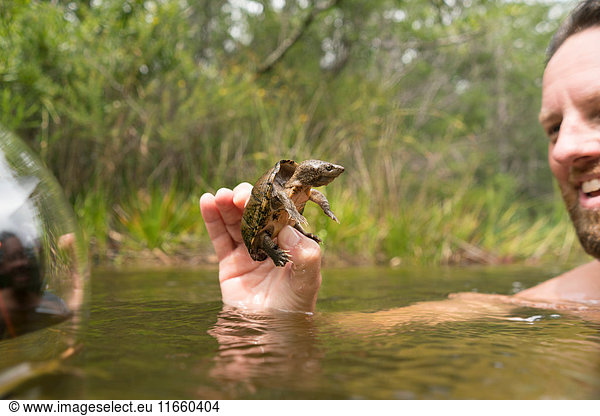 Mann im Wasser mit lächelnder Schlammschildkröte  Turkey Creek  Niceville  Florida  USA