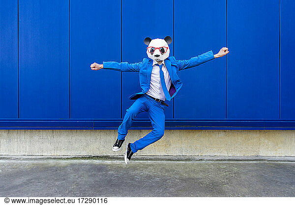 Mann in leuchtend blauem Anzug und Pandamaske springt gegen eine blaue Wand