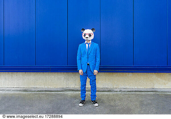 Mann in leuchtend blauem Anzug und Pandamaske vor blauer Wand stehend
