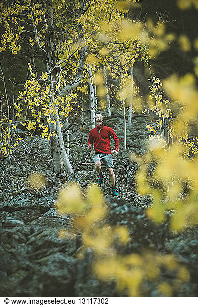 Mann joggt im Wald