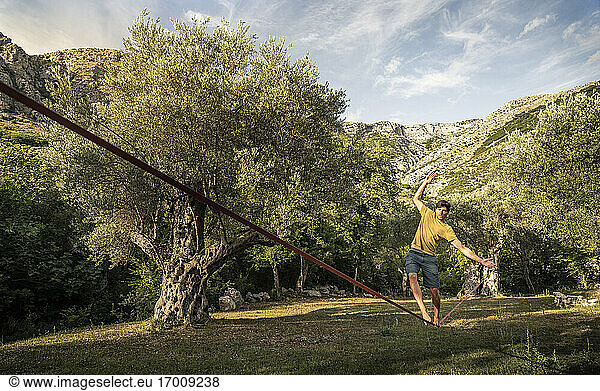 Mann läuft auf Slackline zwischen alten Olivenbäumen in Landschaft