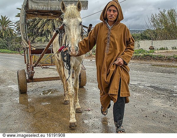 Mann mit Pferd und Wagen auf dem sonntäglichen Berbermarkt  Had Draa  Provinz Essaouira  Marokko.