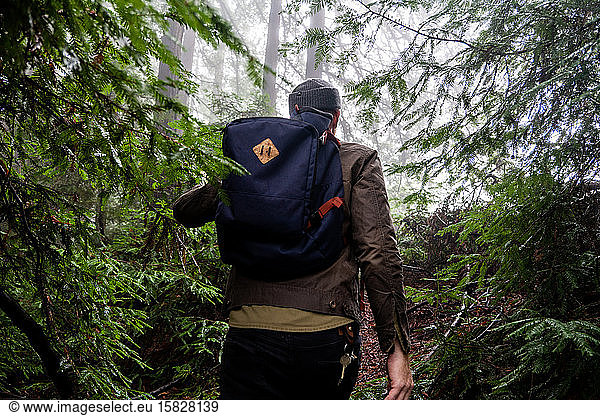 Mann mit Rucksack geht durch Kiefernwälder in neblige Waldlichtung