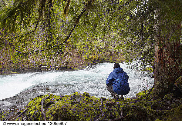Mann schaut auf Bach  während er auf moosbedeckten Wurzeln im Wald sitzt