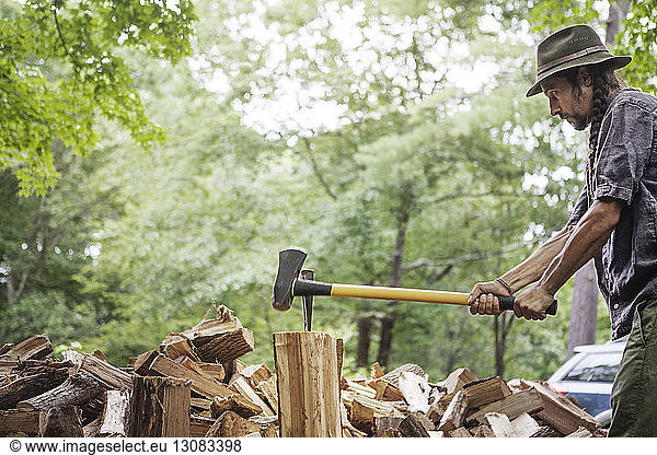 Mann schneidet Brennholz im Wald