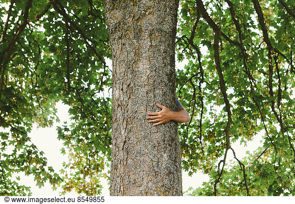 Mann umarmt Baum