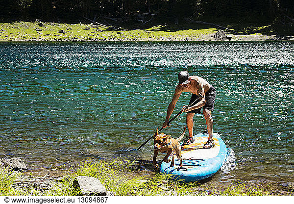 Mann und Hund auf einem Paddalbrett  das bis zum Seeufer reicht