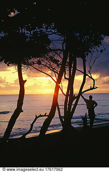 Mann und Surfbrett bei Sonnenaufgang  Cabarete  Dominikanische Republik; CABARETE  DOMINIKANISCHE REPUBLIK.