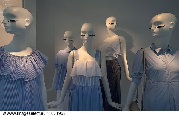 Mannequins dressed in Light Blue  in the shop window of a fashion shop  Bavaria  Germany  Europe