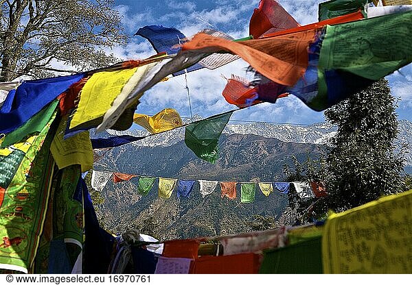 Mantras  Gebetsfahnen und frühe Strebepfeiler aus dem Himalaya. dharamsala  himachal pradesh  indien.