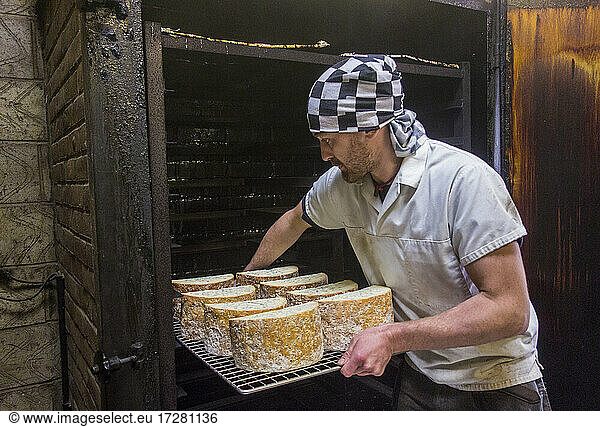 Manual worker inserting stilton cheese tray in smokehouse at food factory