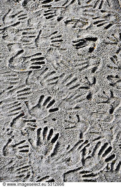 Many imprints of hands in concrete  relief of handprints of children