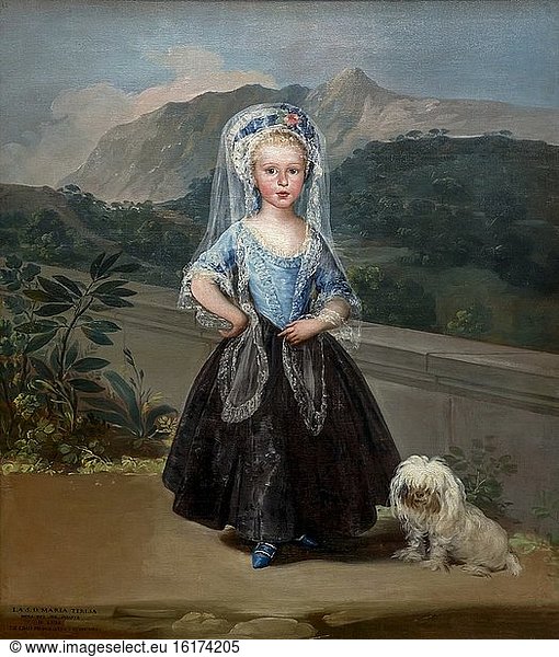 Maria Teresa de Borbon y Vallabriga  Francisco de Goya  1783  National Gallery of Art  Washington DC  USA  North America.