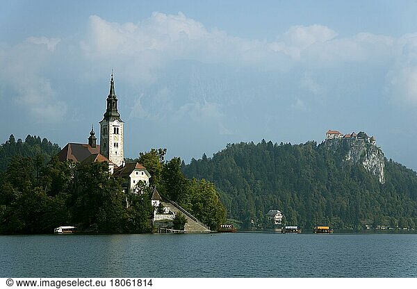 Marienkirche auf Insel im Bleder See  Bled  Slowenien  Balkan  Europa