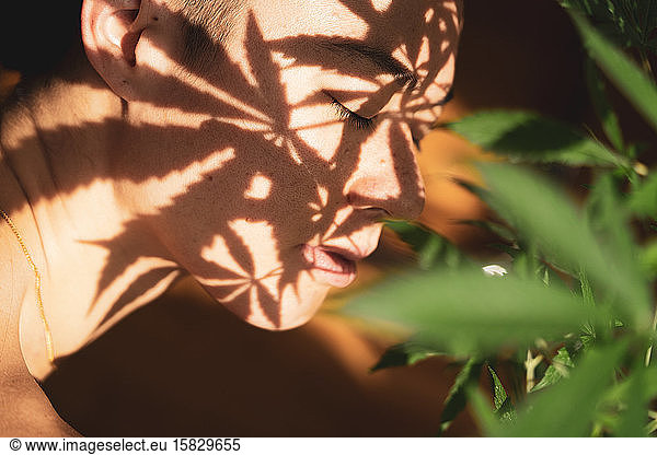 Marijuana leaves cast shadow on peaceful human face