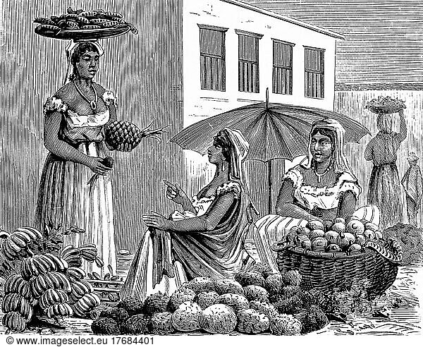 Marketplace  women  sell  bananas  pineapple  basket  sit  talk  carry  head  building  Cartagena  portrait  historical illustration 1881  Colombia  South America
