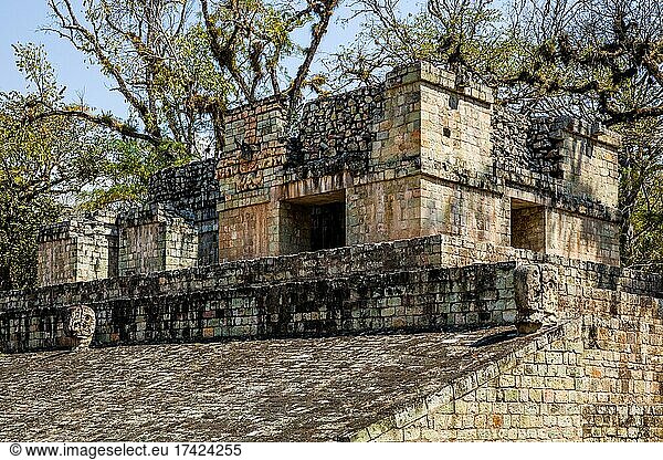 Markierstein am Ballspielplatz  zweitgrößter der Mayakultur  Mayastätte  Copan  Honduras  Mittelamerika