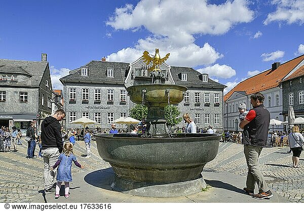 Marktbrunnen mit goldenem Adler  Marktplatz  Goslar  Niedersachsen  Deutschland  Europa