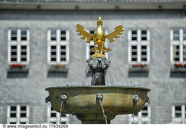 Marktbrunnen mit goldenem Adler  Marktplatz  Goslar  Niedersachsen  Deutschland  Europa