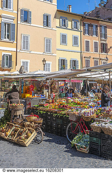 Marktstände  Campo de Fiori  Regola  Rom  Latium  Italien  Europa