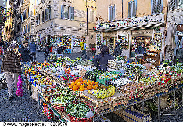 Marktstände  Campo de Fiori  Regola  Rom  Latium  Italien  Europa